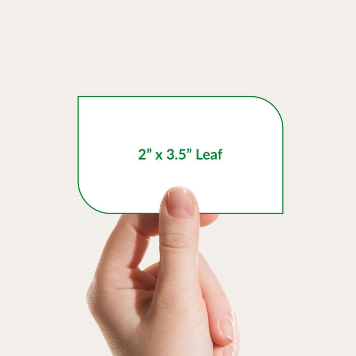Leaf Circle Shape Visiting Card